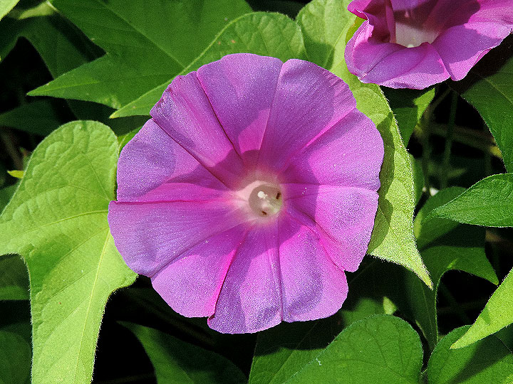 DSCN8623
