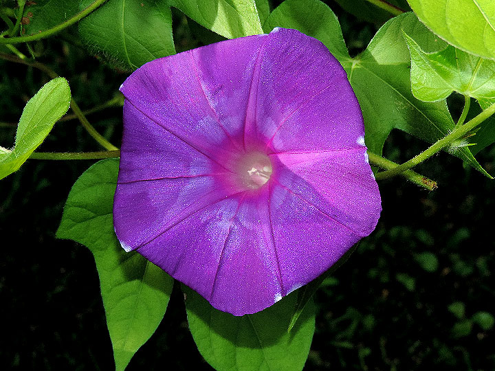 DSCN8626