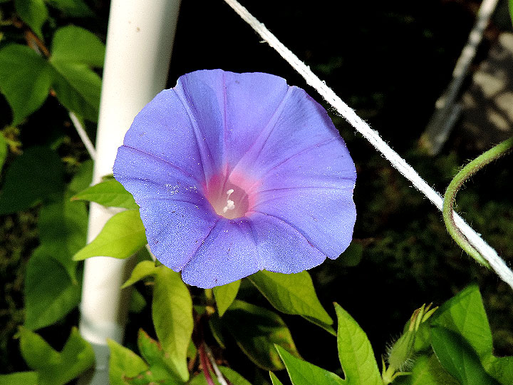 DSCN8765