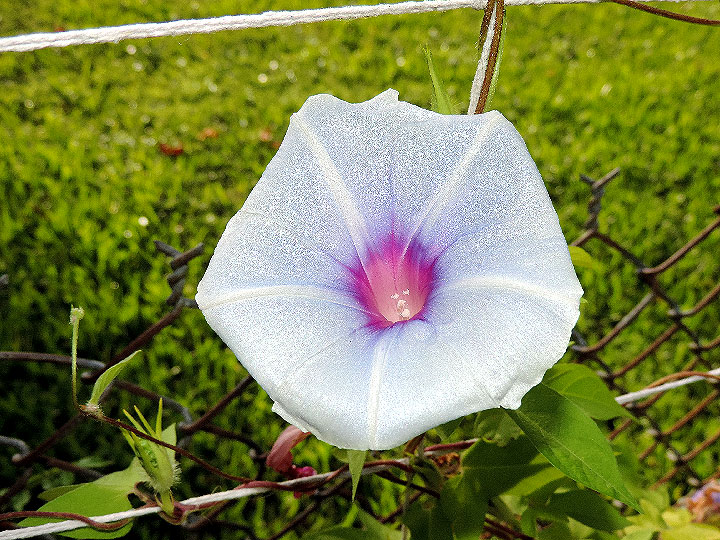 DSCN8782
