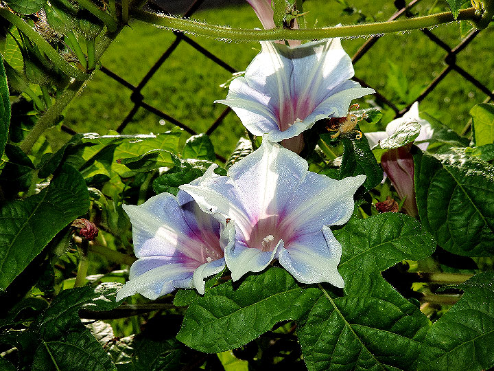DSCN8784