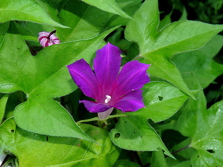 DSCN8854_01