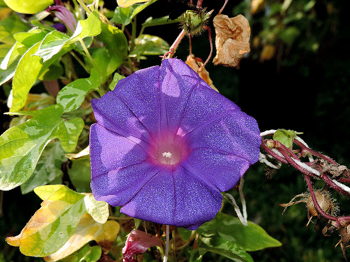 DSCN8897_01