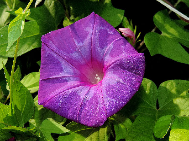 DSCN8904