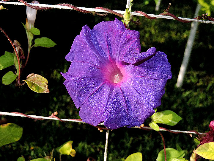DSCN9034