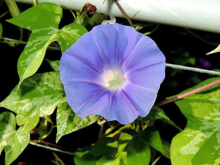 DSCN9040