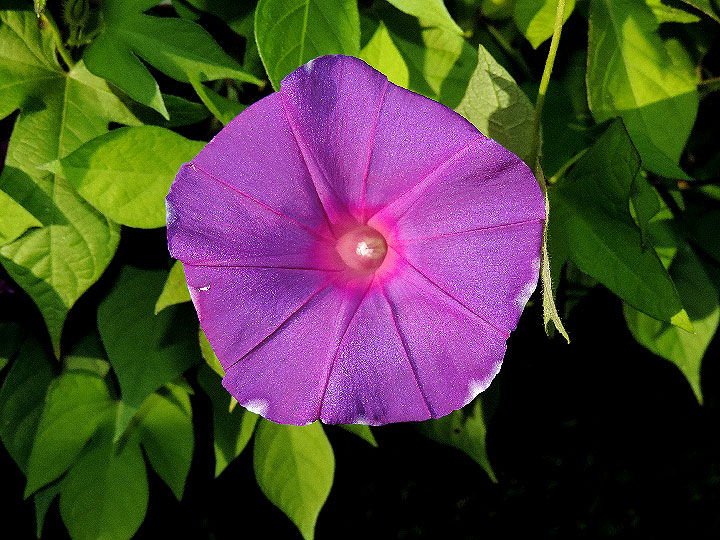 DSCN9043