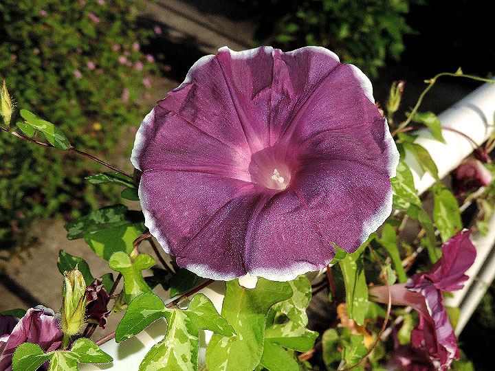 DSCN9057
