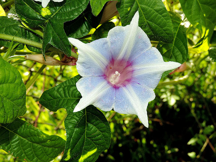 DSCN9071