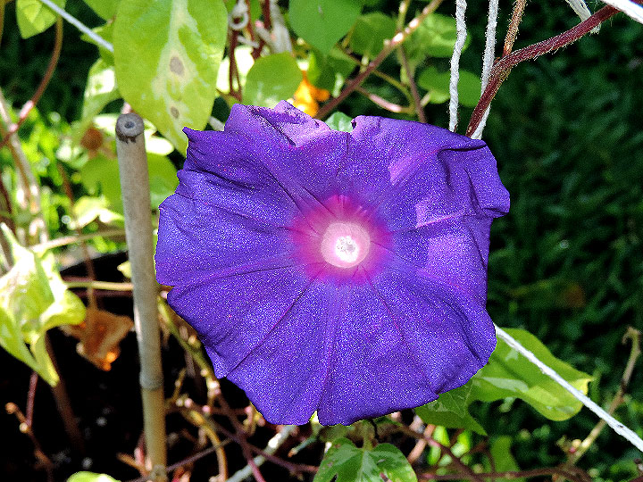DSCN9167