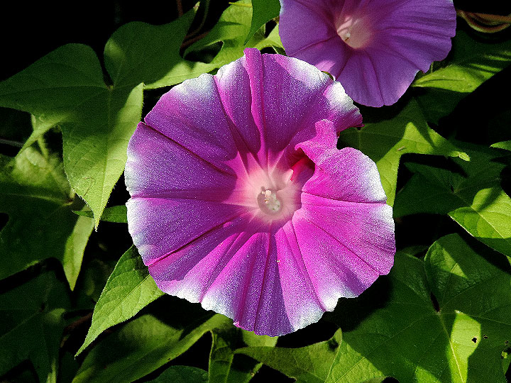DSCN9170_01