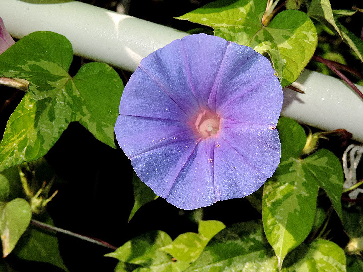 DSCN9171_01