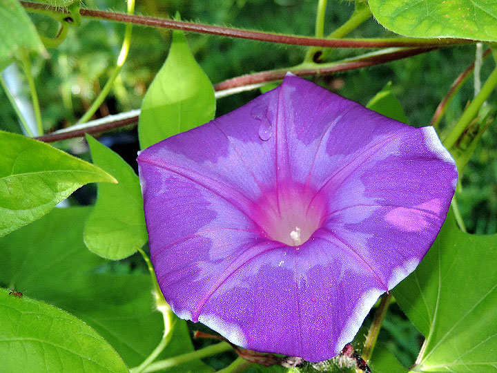 DSCN9173_01
