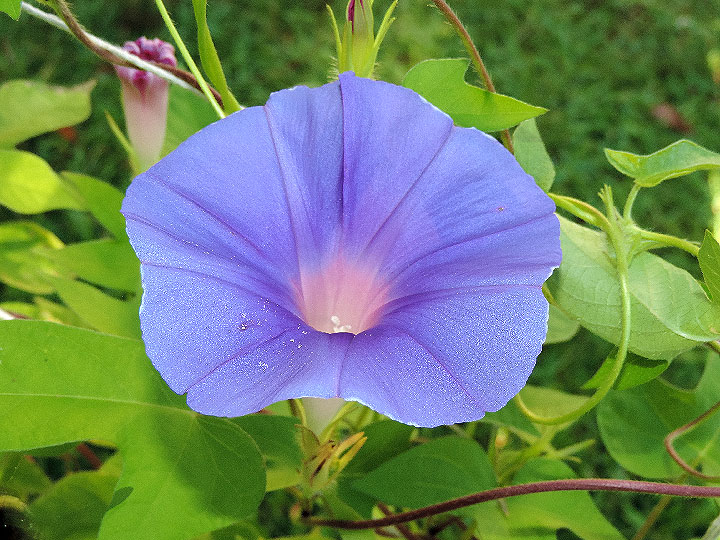 DSCN9181