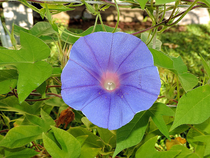 DSCN9321