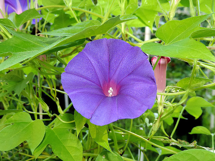 DSCN9336_01