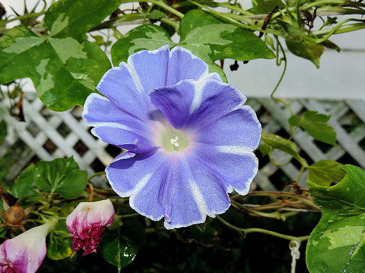 DSCN9337_01