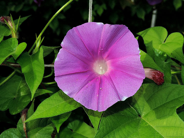 DSCN9432
