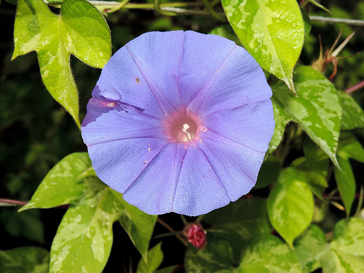 DSCN9433