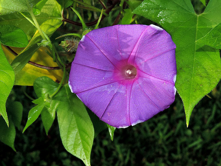 DSCN9435