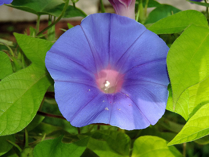 DSCN9444