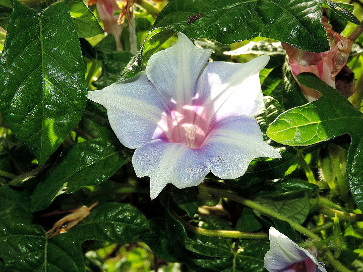DSCN9459