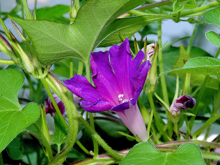 DSCN9513