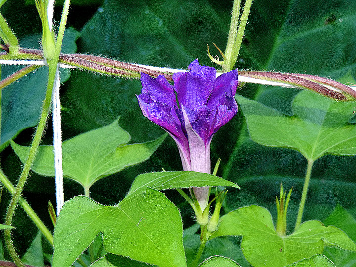 DSCN9517