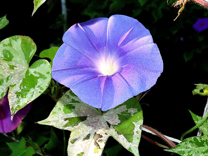 DSCN9547