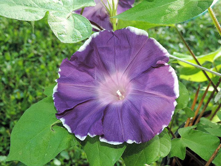 DSCN9564