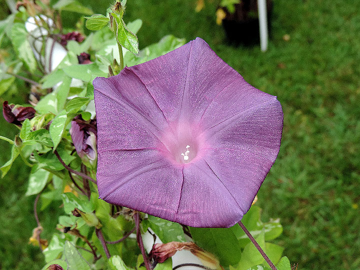 DSCN9653