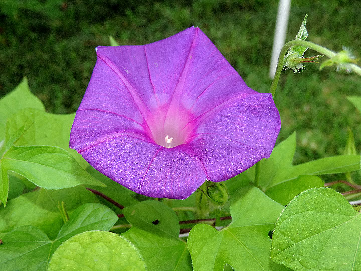DSCN9662