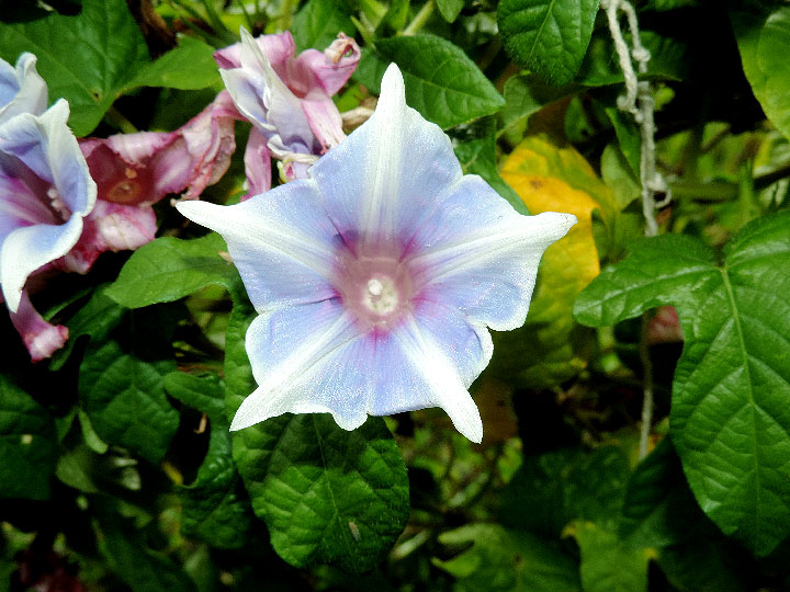 DSCN9757