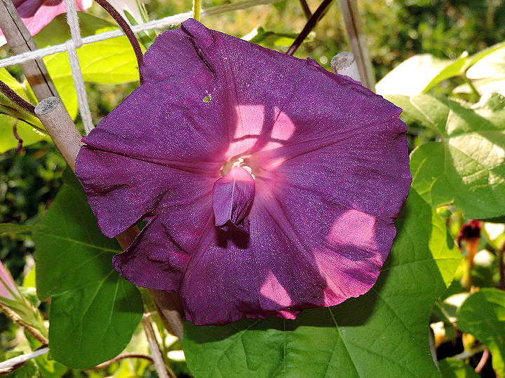 DSCN9811