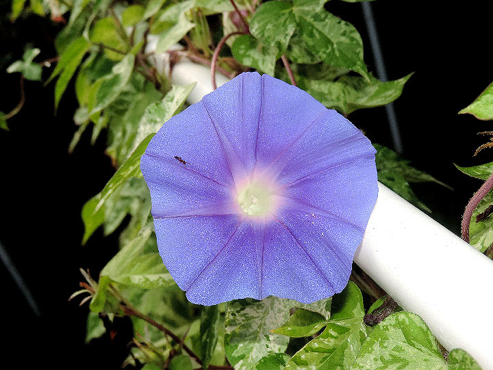 DSCN9840