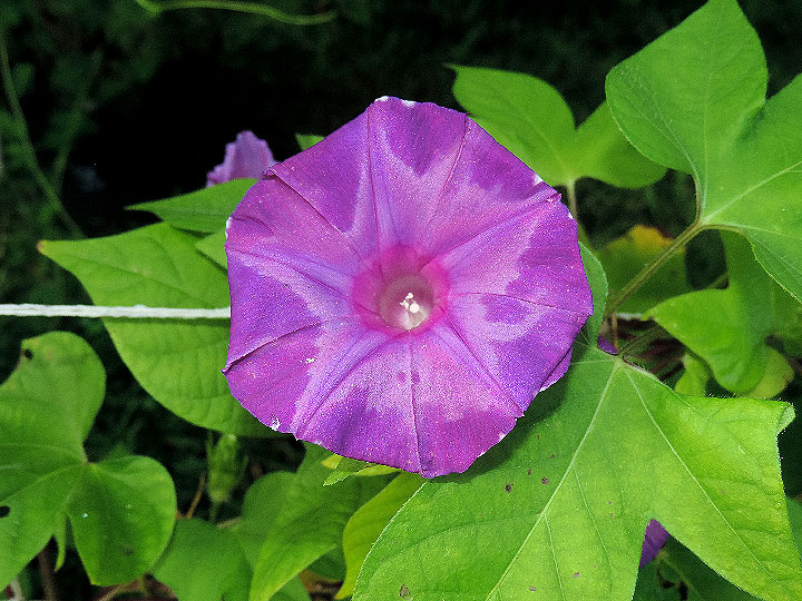DSCN9843