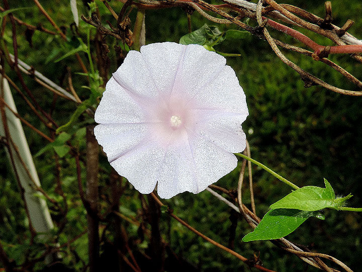 DSCN9846
