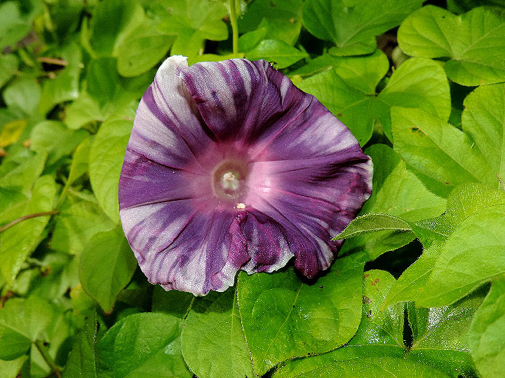 DSCN9850