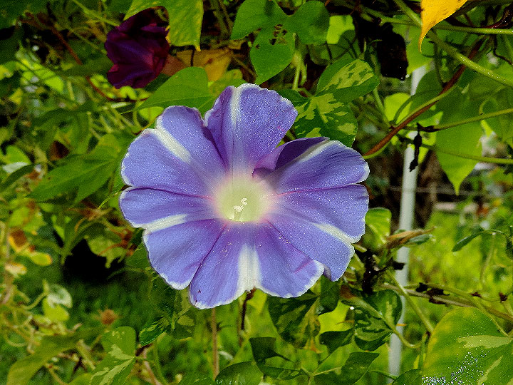 DSCN9854