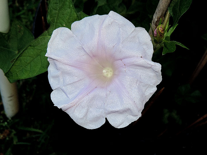 DSCN9858