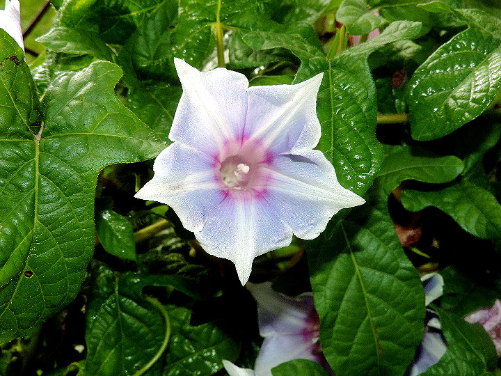 DSCN9860