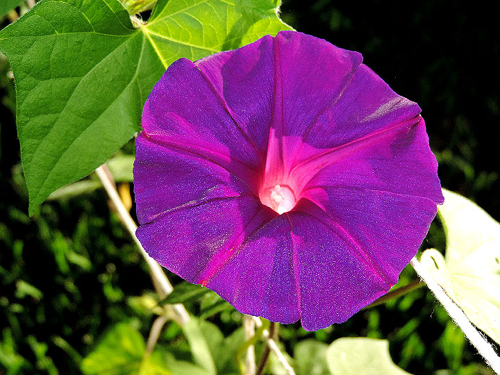 DSCN9929