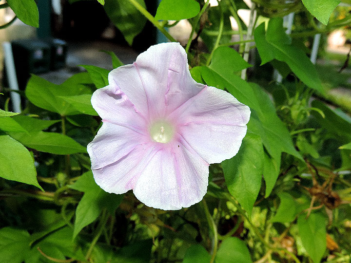 DSCN9934