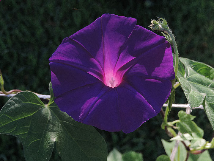 DSCN9991