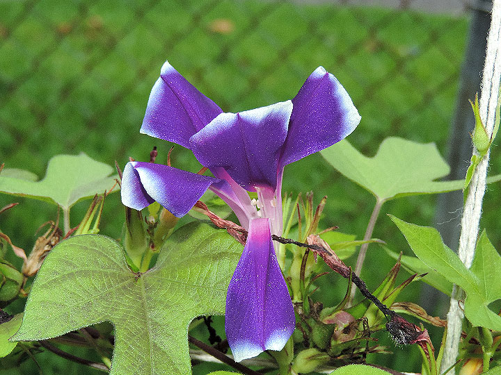 1DSCN8295