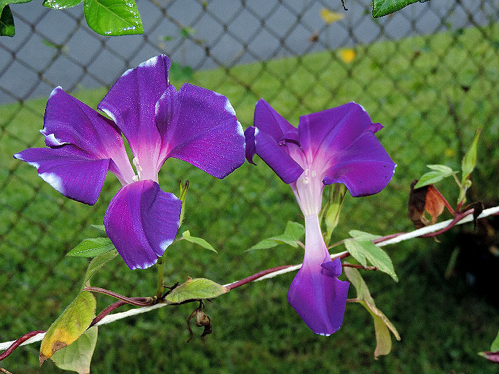 2DSCN0212