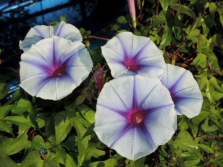 3DSCN0788