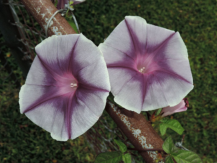 3DSCN6302
