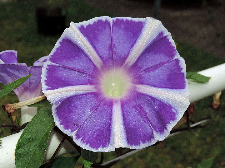 4DSCN7084