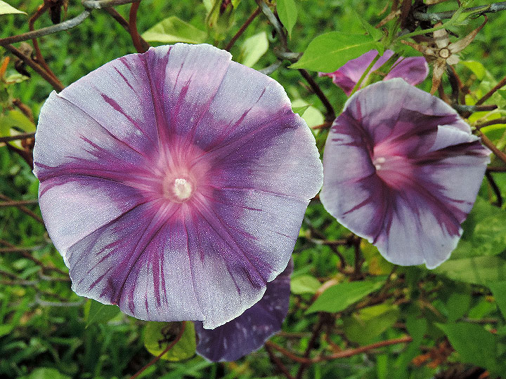 5DSCN8405